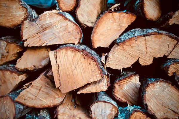 firewood collection season starts pakenham gazette